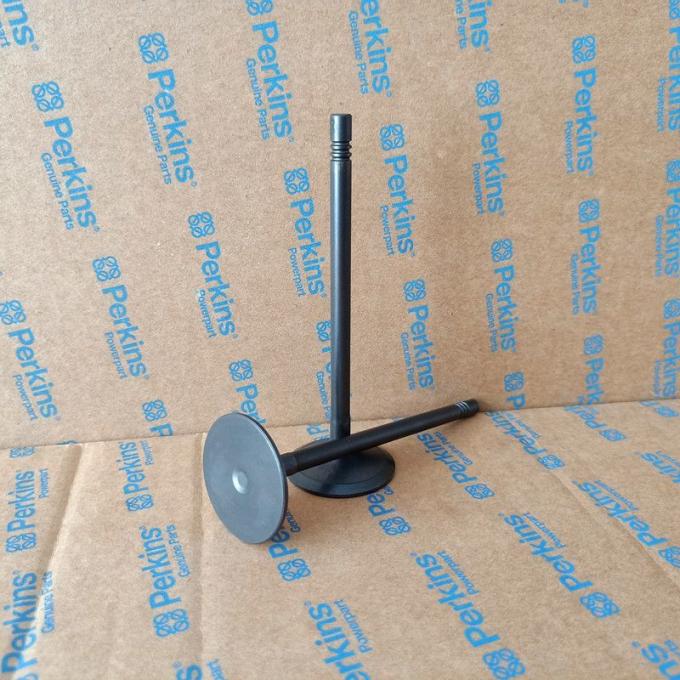 3142h091 30 Degree Angle Inlet Valves for 퍼킨스 Engine Parts C6.6 C4.4