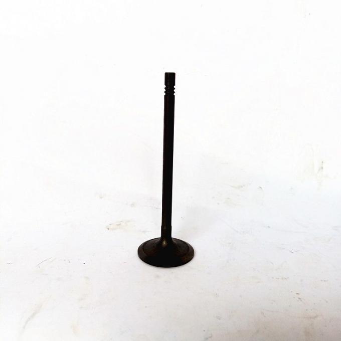 3142h091 30 Degree Angle Inlet Valves for 퍼킨스 Engine Parts C6.6 C4.4